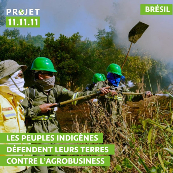 Au Brésil, les peuples indigènes défendent leurs terres contre l’agrobusiness